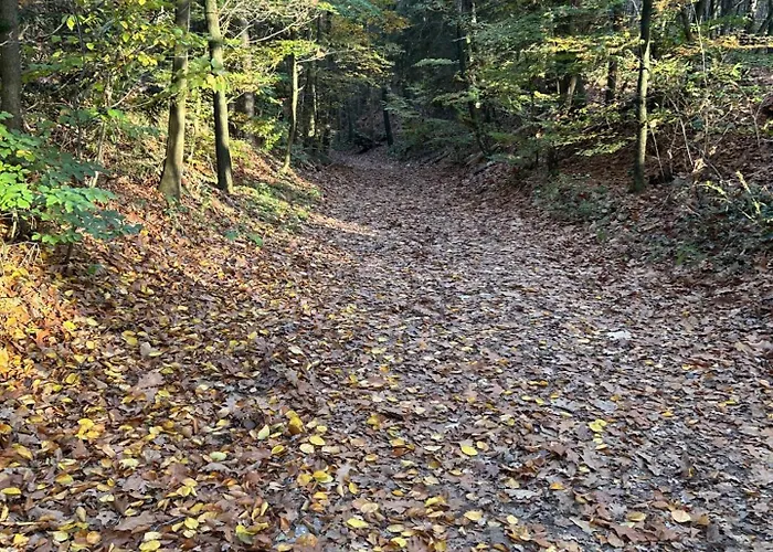 Vakantiehuisje in Lunteren aan de rand van het bos